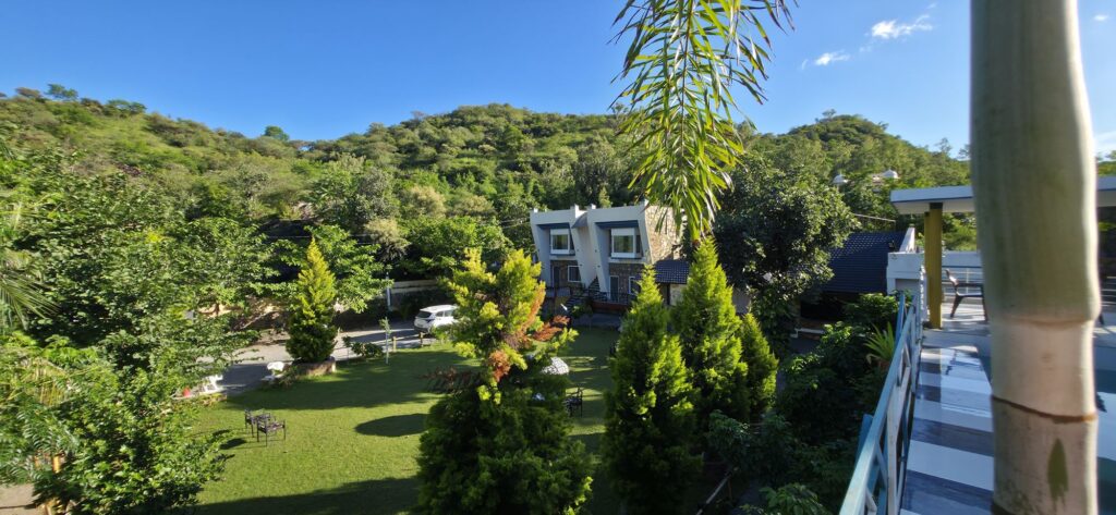 Garden lawn